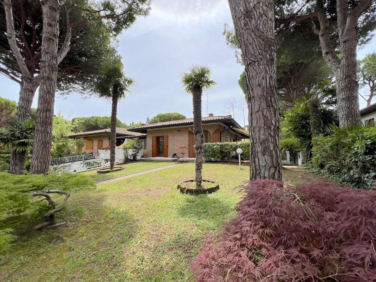 Villa Palm ลินญาโน ซับเบียโดโร ภายนอก รูปภาพ